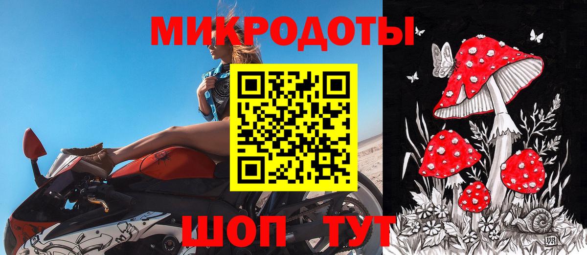 Псилоцибиновые грибы Cubensis  Вход с VPN  Кольчугино 
